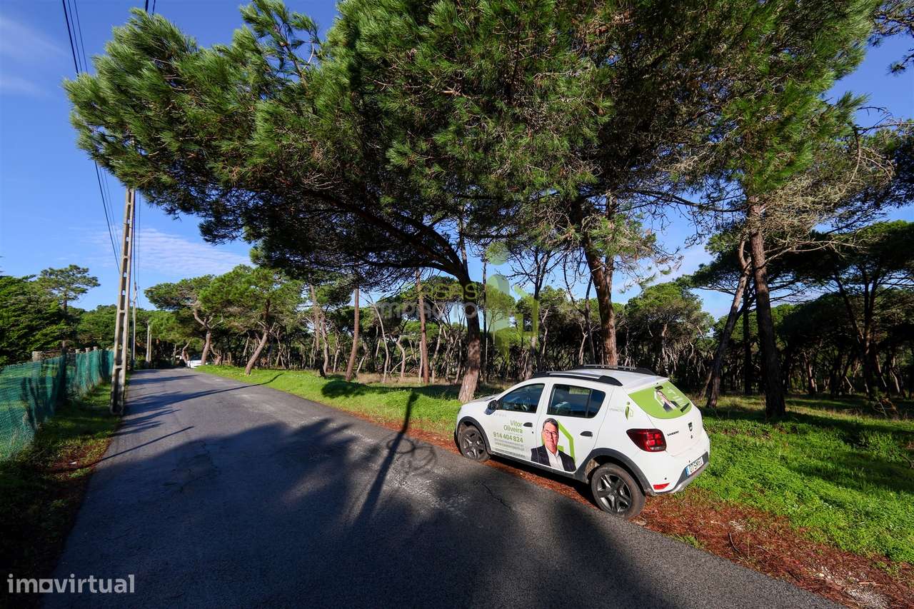 Terreno Rústico com 4.600 m2 em Areais, Almoçageme - Colares - Grande imagem: 2/14