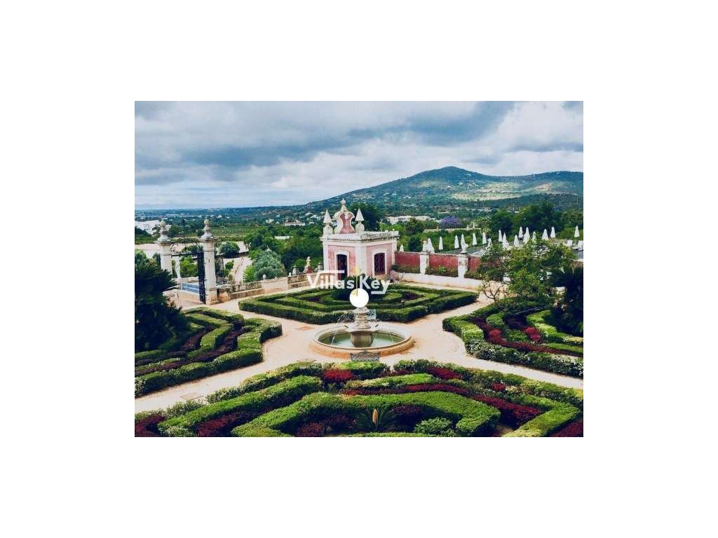 Terreno rústico com terra fértil para agricultura, tanque,nora,bons...-18