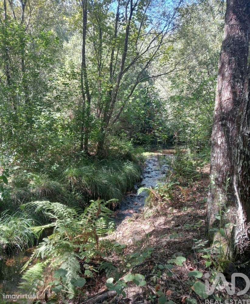 Casa em Pedrógão Grande de 50,00 m2 - Grande imagem: 4/29