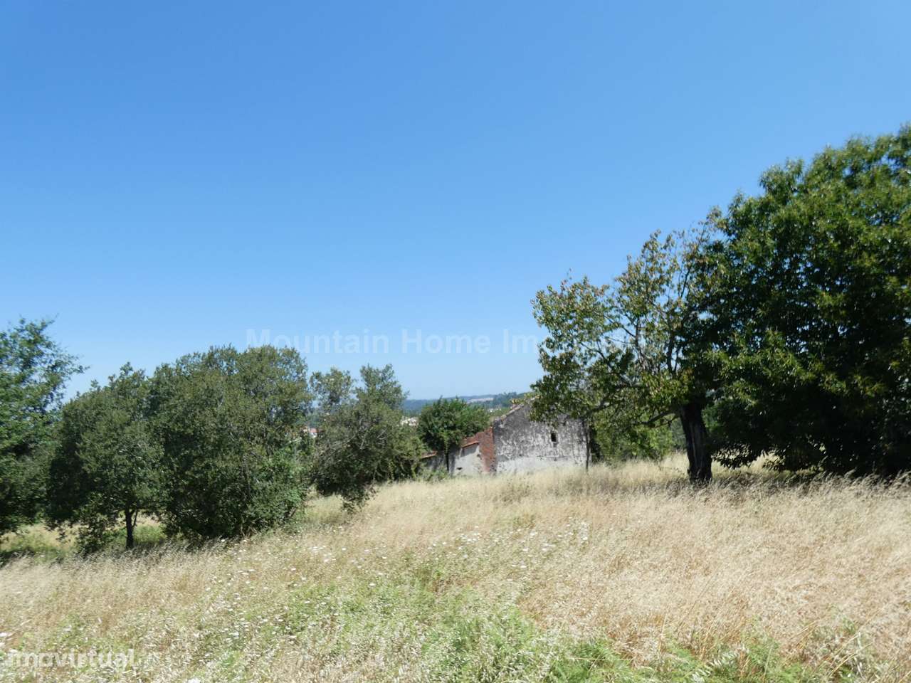 Quinta  Venda em Seia, São Romão e Lapa dos Dinheiros,Seia - Grande imagem: 2/7