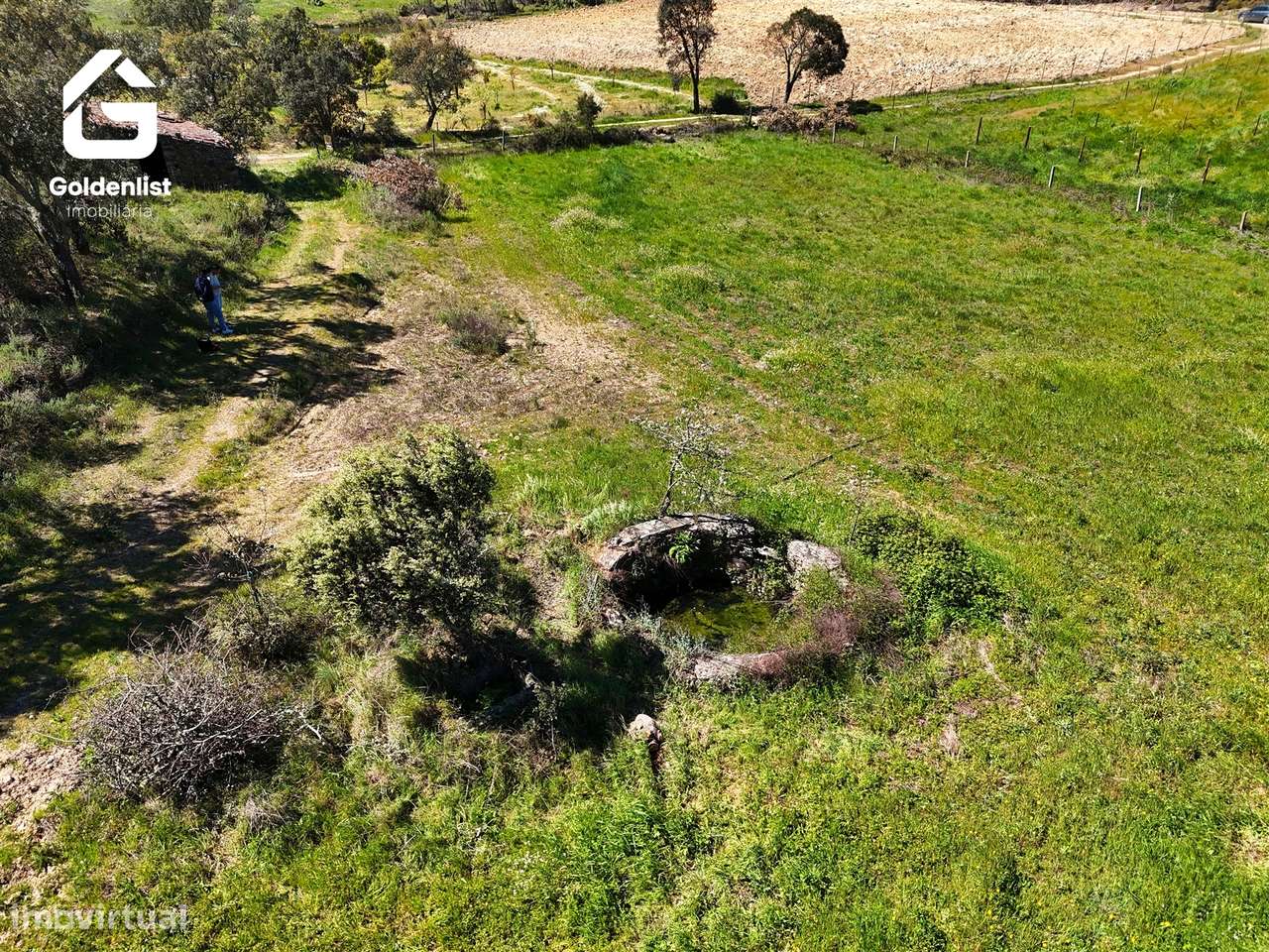 Quintinha  Venda em Fratel,Vila Velha de Ródão - Grande imagem: 3/23