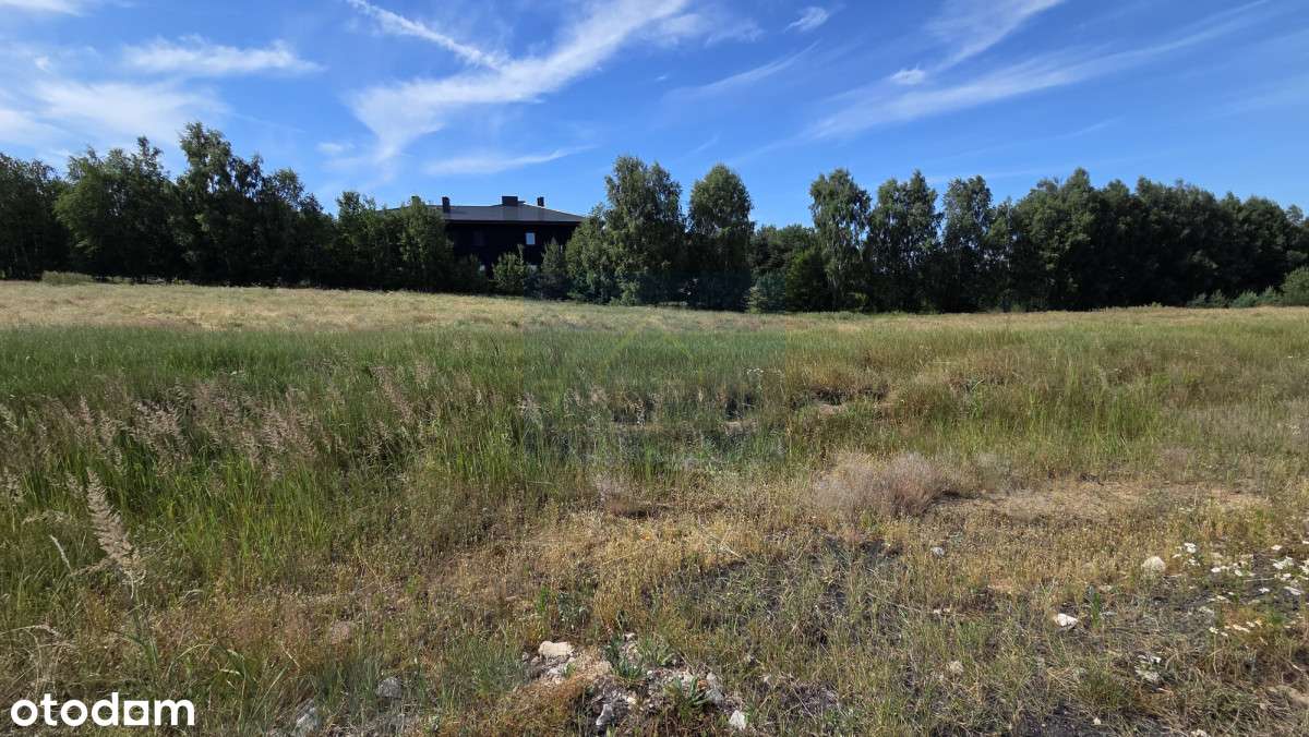 Działka na sprzedaż, Grabówka - Pełny obrazek: 4/6