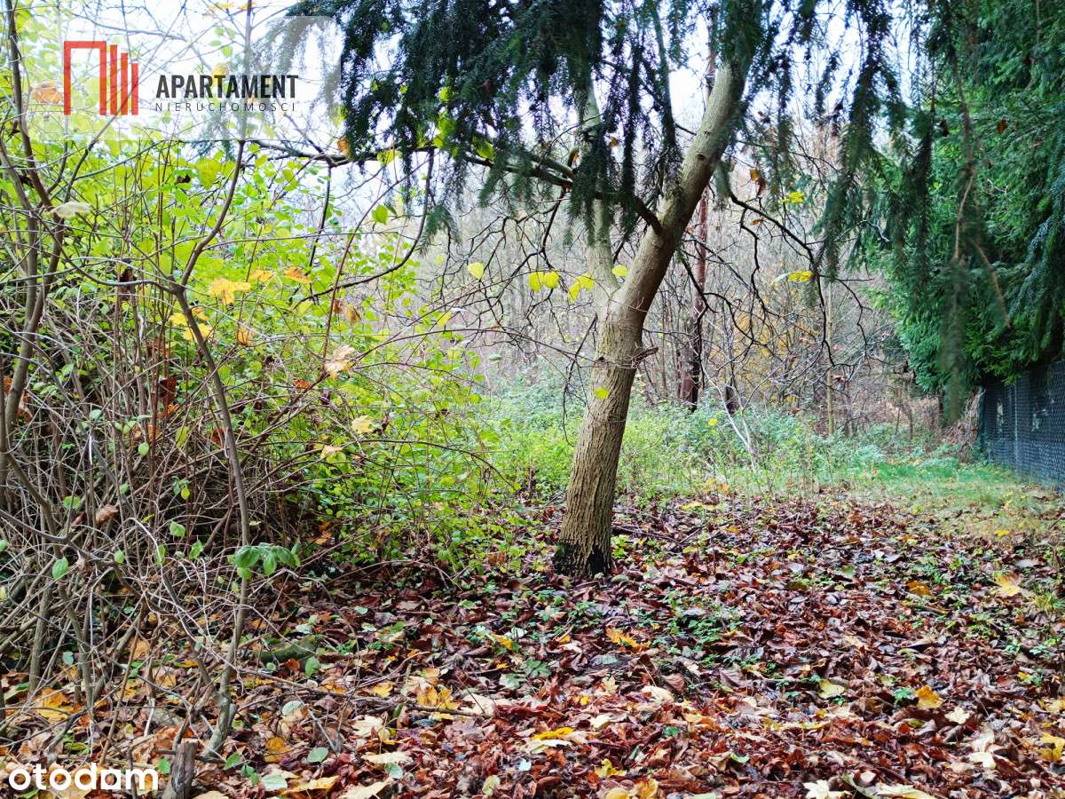 Działka  z pozwoleniem budowy domu opieki. - Pełny obrazek: 5/7