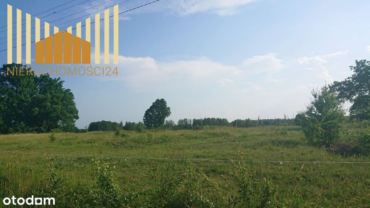 306790 - Pełny obrazek: 4/4