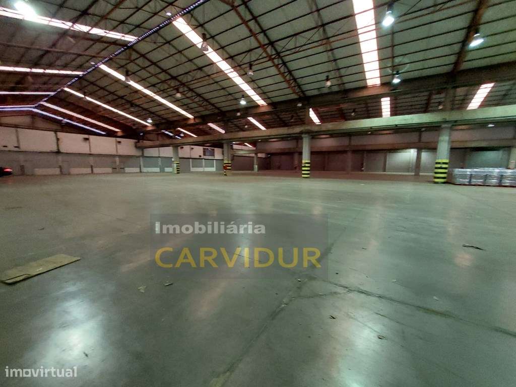 Armazém Industrial 200m2 até 23.000m2 naves com pé direito 8m. - Grande imagem: 3/40