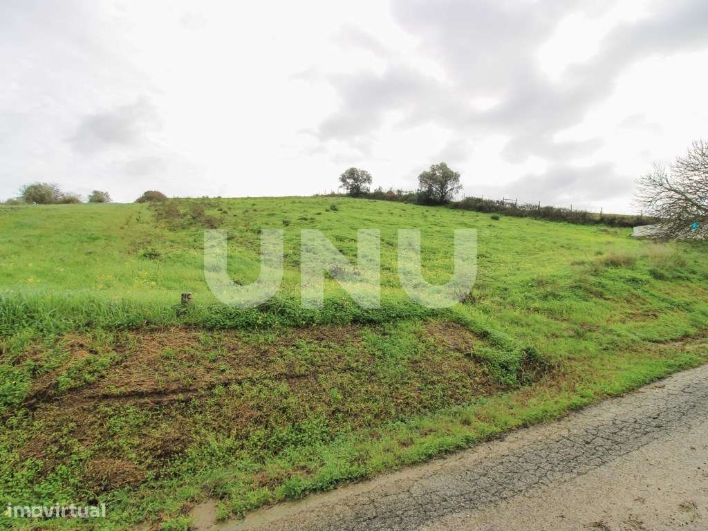 Arrecadação e Terreno Rústico, em Arruda dos Vinhos! - Grande imagem: 4/5
