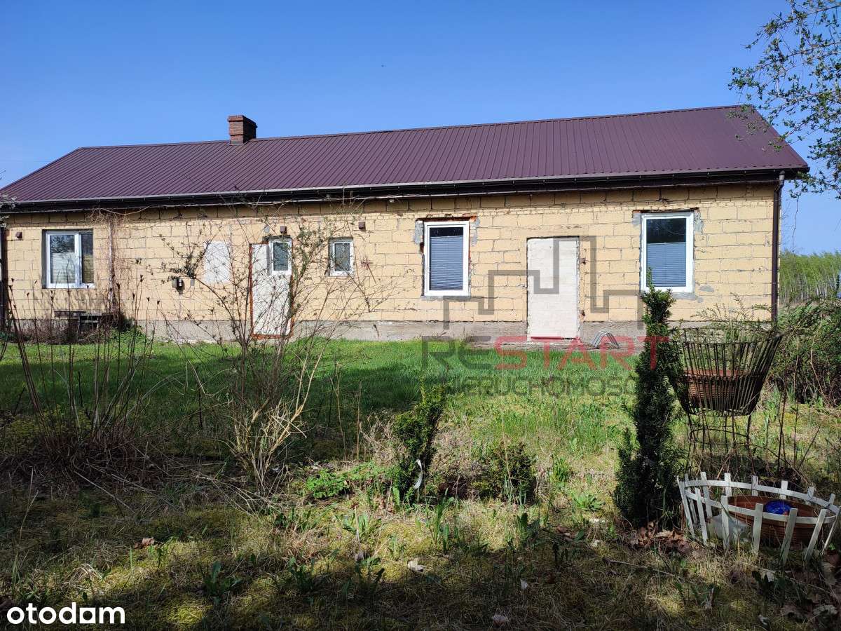 Piękna duża działka z domem we Władkowie - Pełny obrazek: 5/13