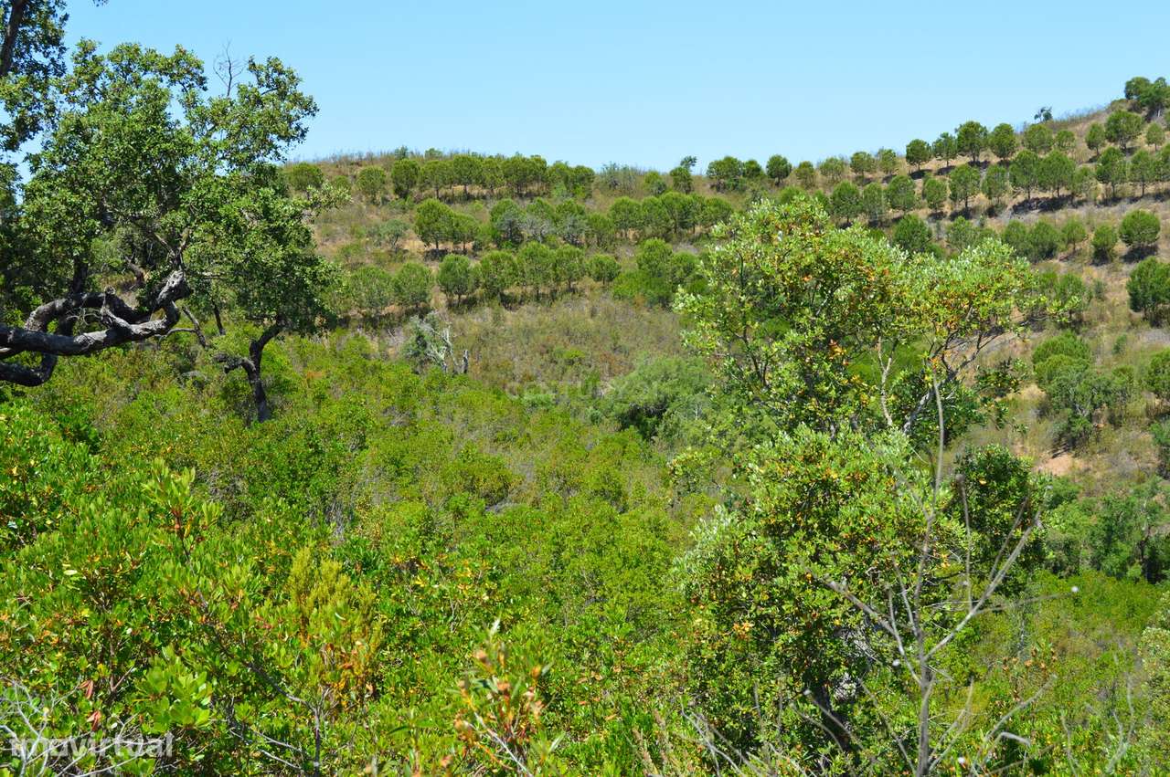 Terrenos Saboia - Odemira - Alentejo - Grande imagem: 4/8