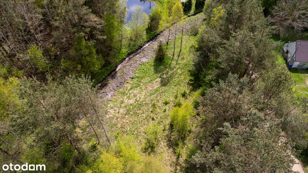 Malownicza działka z warunkami zabudowy – Bieszkowice, ul. Pińska - Pełny obrazek: 4/5