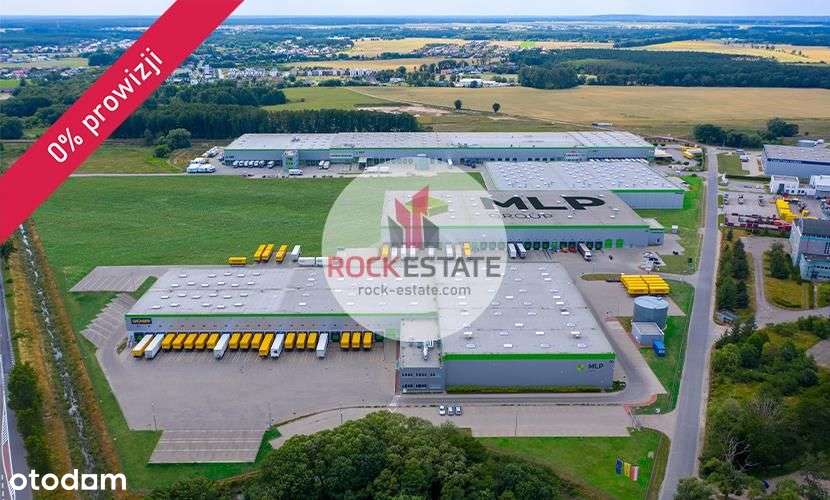 Magazyn na wynajem 1565 m2 Koninko - 0% prowizji - Pełny obrazek: 5/9