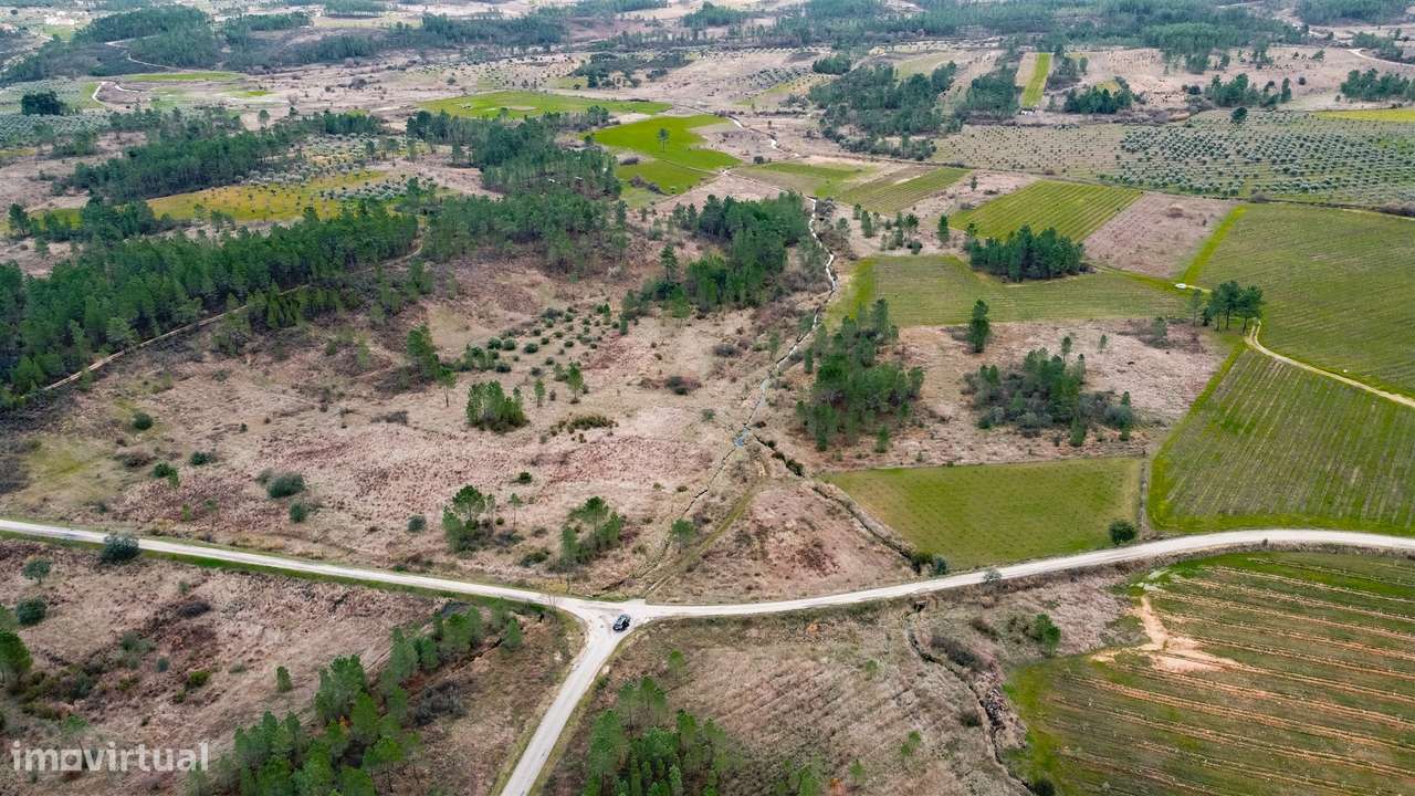 Quinta T0 Venda em Sarzedas,Castelo Branco-28