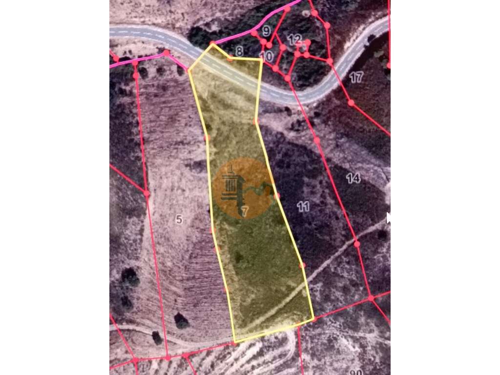 TERRENO RÚSTICO COM 5.920 M2 - BONS ACESSOS - CORTELHA - AZINHAL - ... - Grande imagem: 2/51