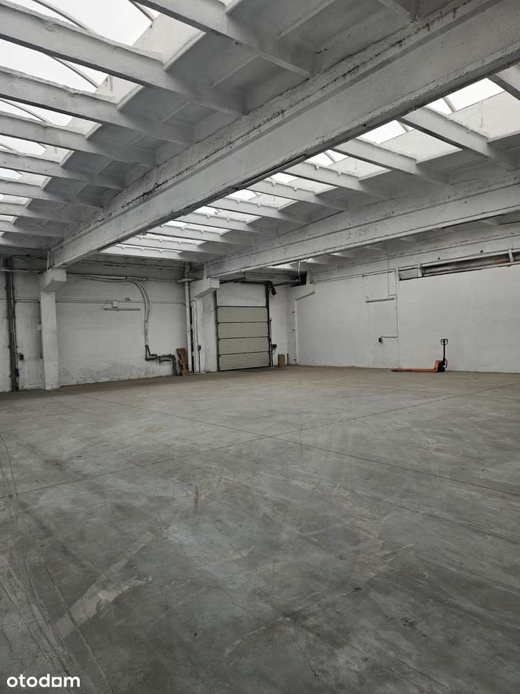 Hala do wynajęcia – produkcja / magazyn – od 1000 do 5500 m² – Gniezno - Pełny obrazek: 5/13