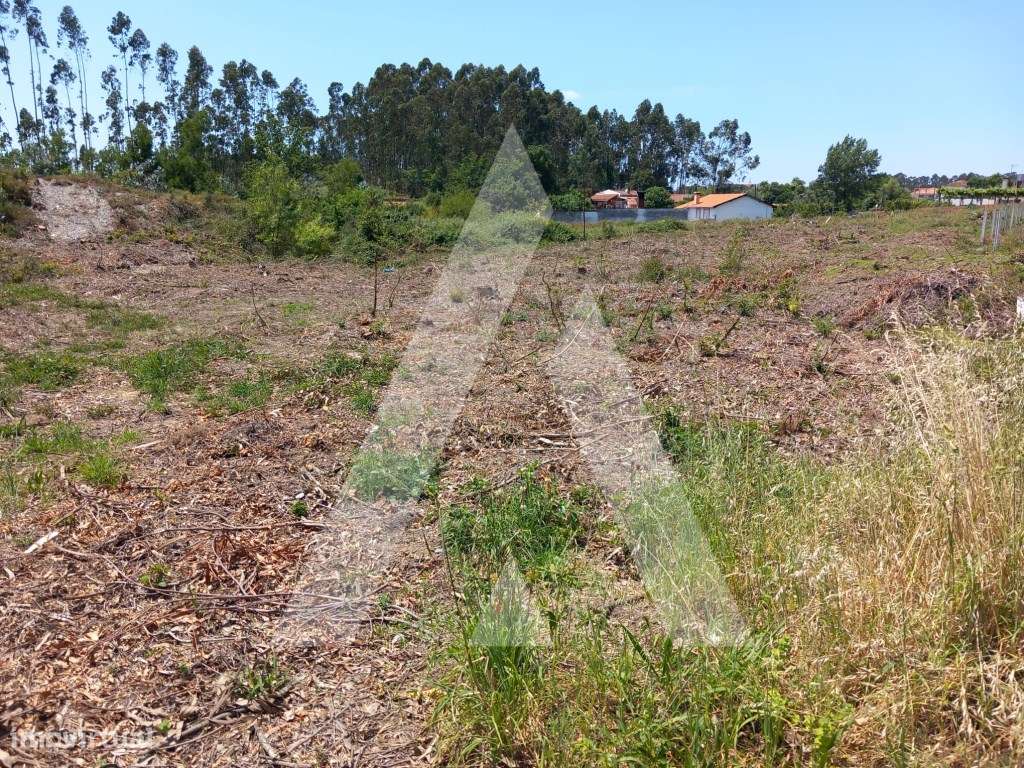Terreno rústico em Válega - Avanca - Grande imagem: 4/12