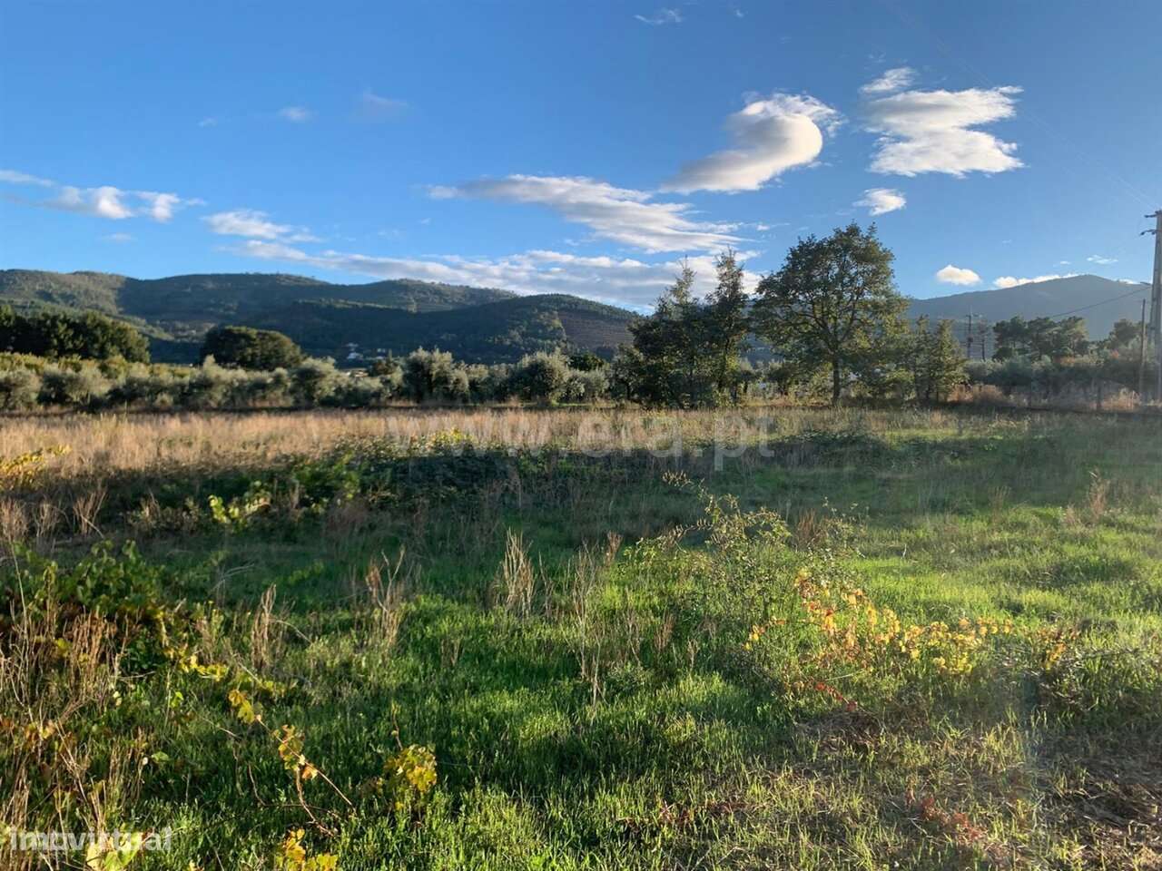 Terreno Agrícola Donas Fundão - Grande imagem: 2/5