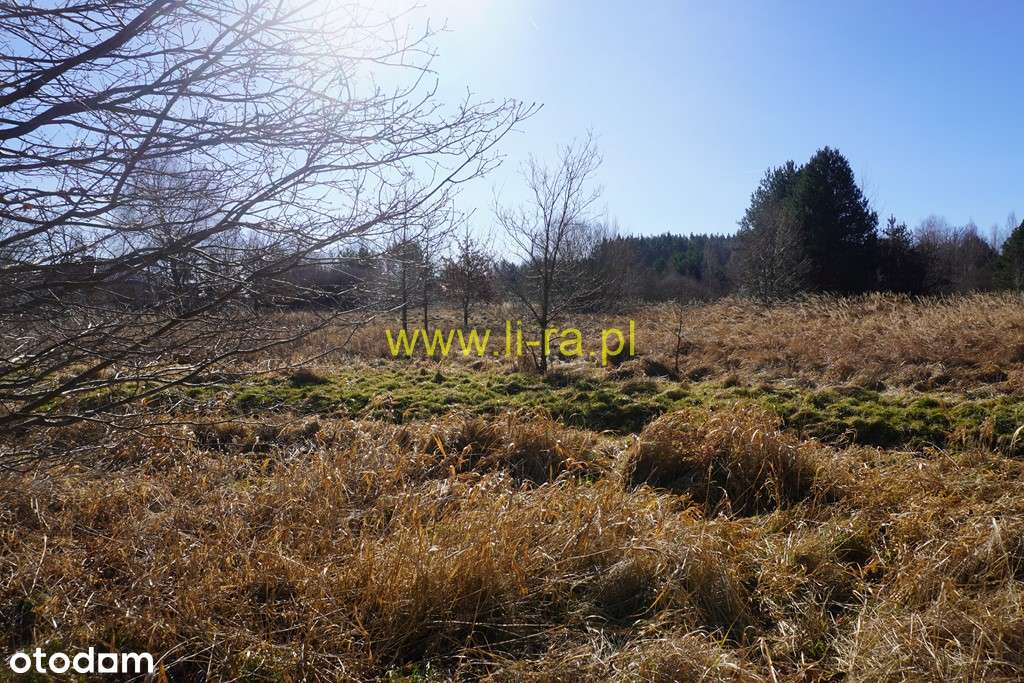 Działka budowlana w Żarach ul. Puławskiego ( Kunice) pow.1561m-1