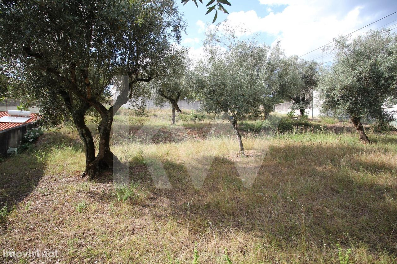 Terreno urbanizável | 710m2 | duas frentes de estrada | Brasfemes