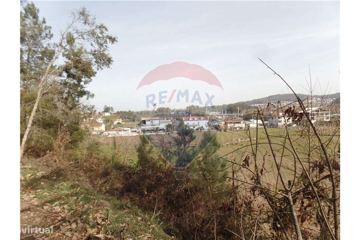 TERRENO FLORESTAL EM ZONA DE IMENSA TRANQUILIDADE - Grande imagem: 5/9