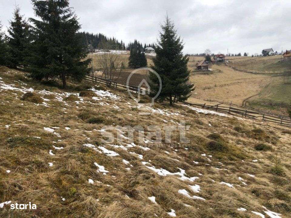 Teren Marisel, zona deosebita - Imagine principală: 2/4