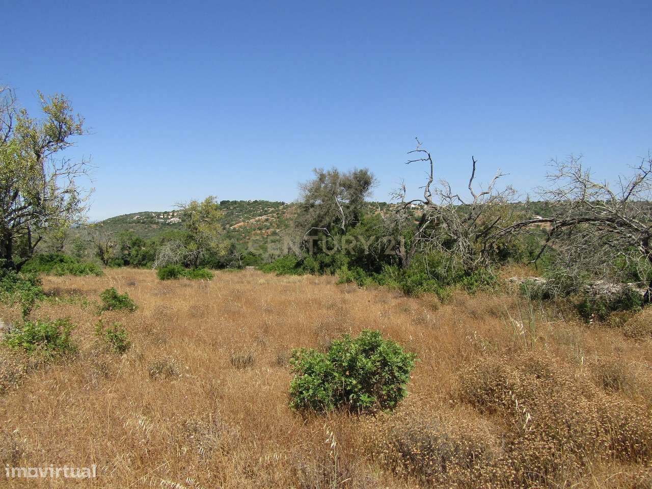 Terreno Rústico - Grande imagem: 2/10