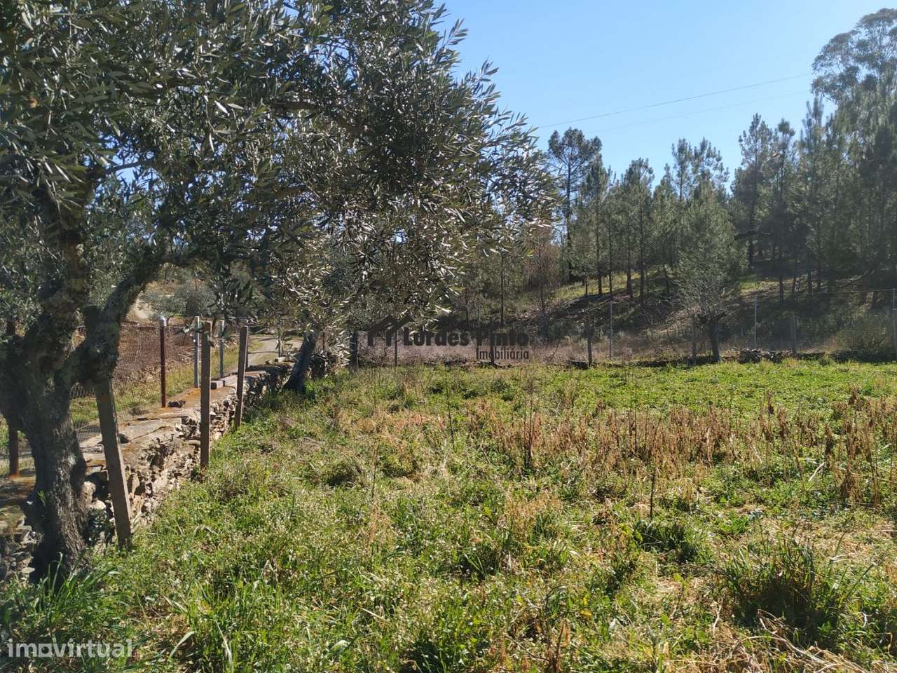 Quintinha com poço - Grande imagem: 2/15