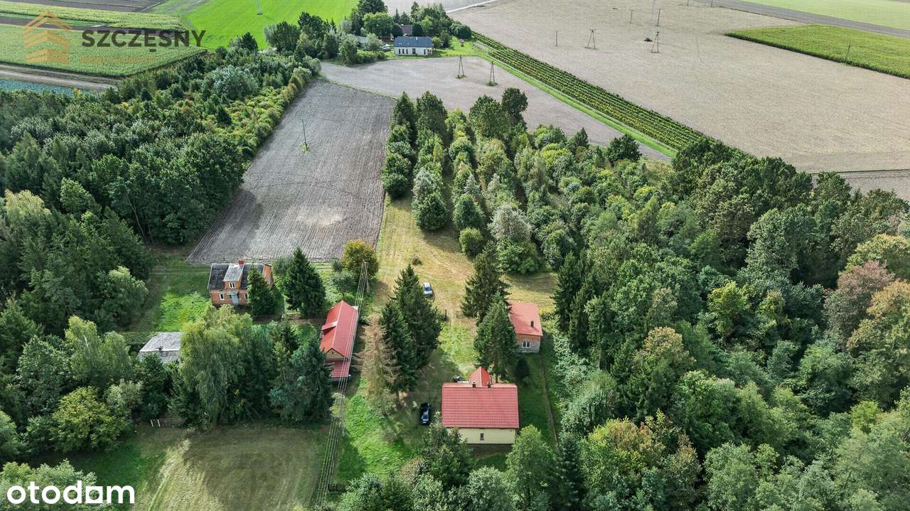 Siedlisko- dom mieszkalny, budynki gospodarcze,  MOGOWO obok NASIELSKA-12