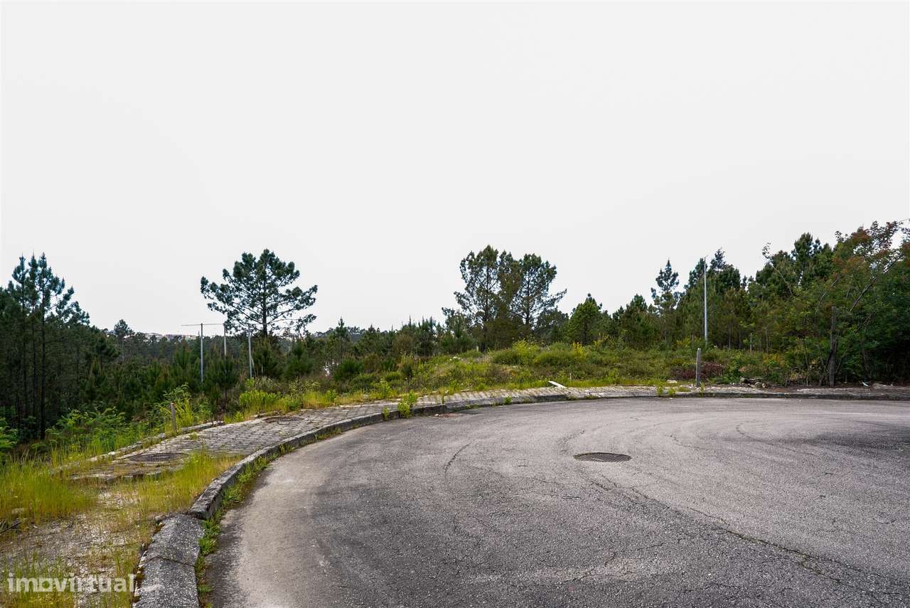 Terreno Urbano  Venda em Nogueira do Cravo e Pindelo,Oliveira de Azemé-6
