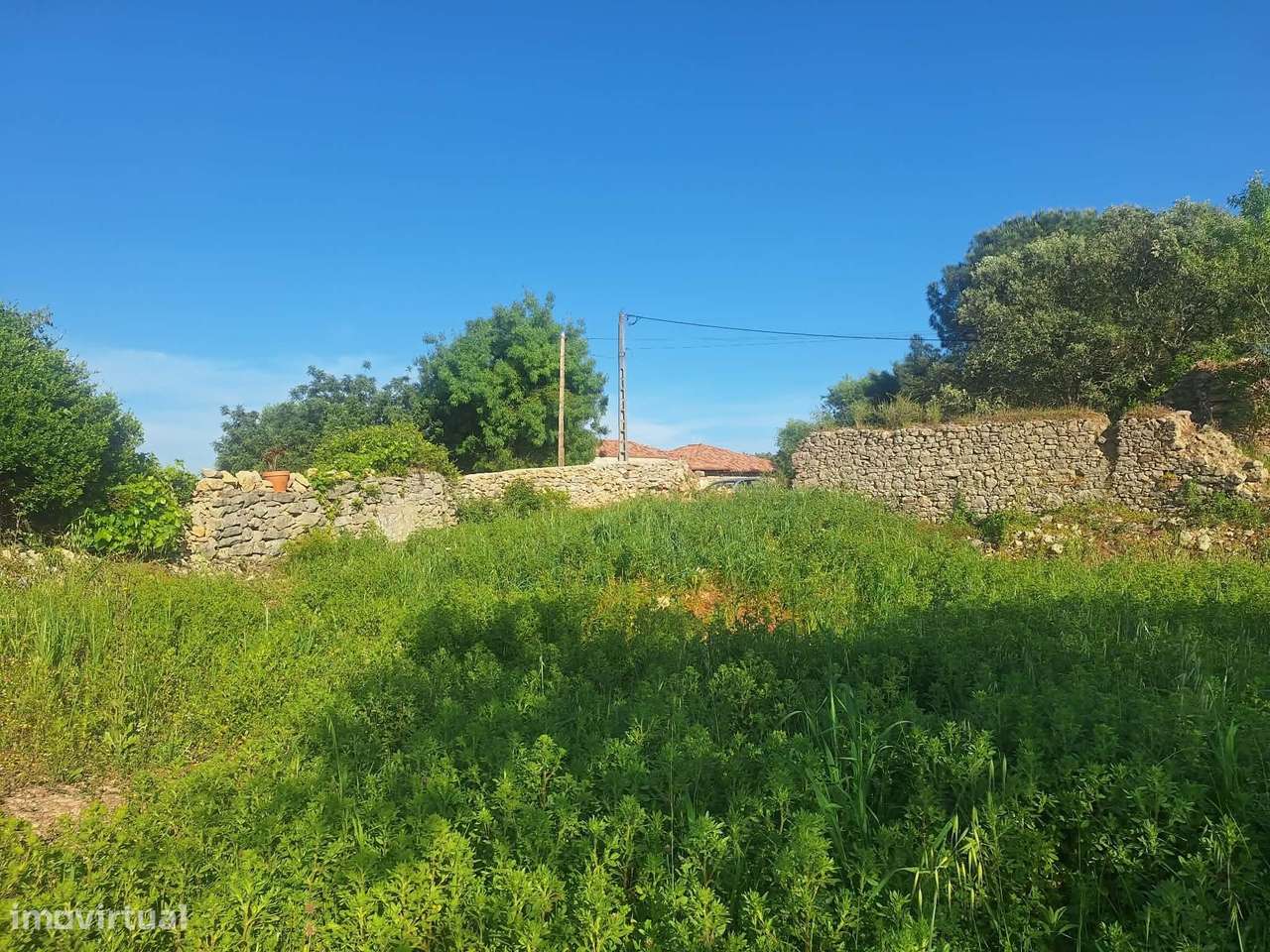 Terreno nos arredores de São Brás de Alportel-1