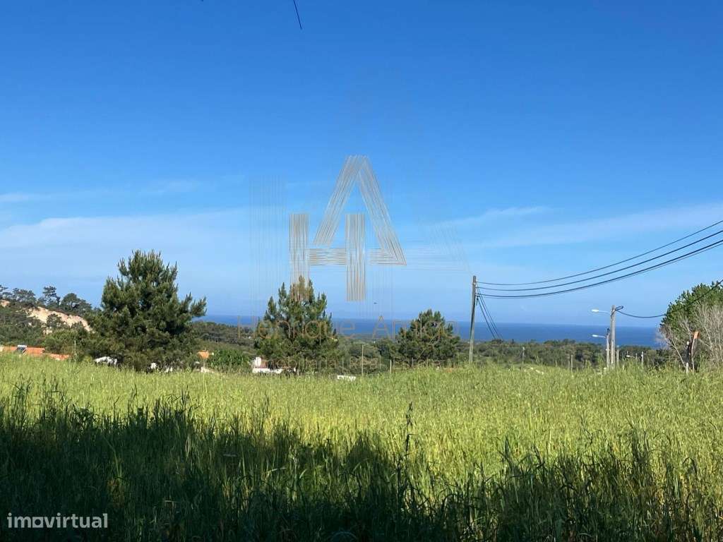 Propriedade Industrial / Produção e Habitação Própria - Grande imagem: 1/11