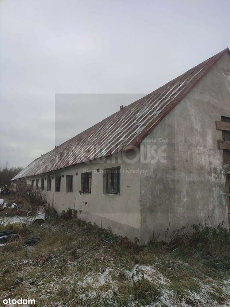 Duża działka rolna zabudowana budynkiem - Pełny obrazek: 4/10