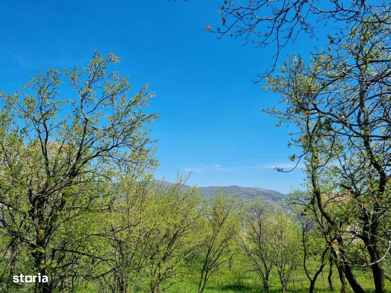 Teren intravilan Comarnic Ghiosesti-aproape moon village - Imagine principală: 3/10