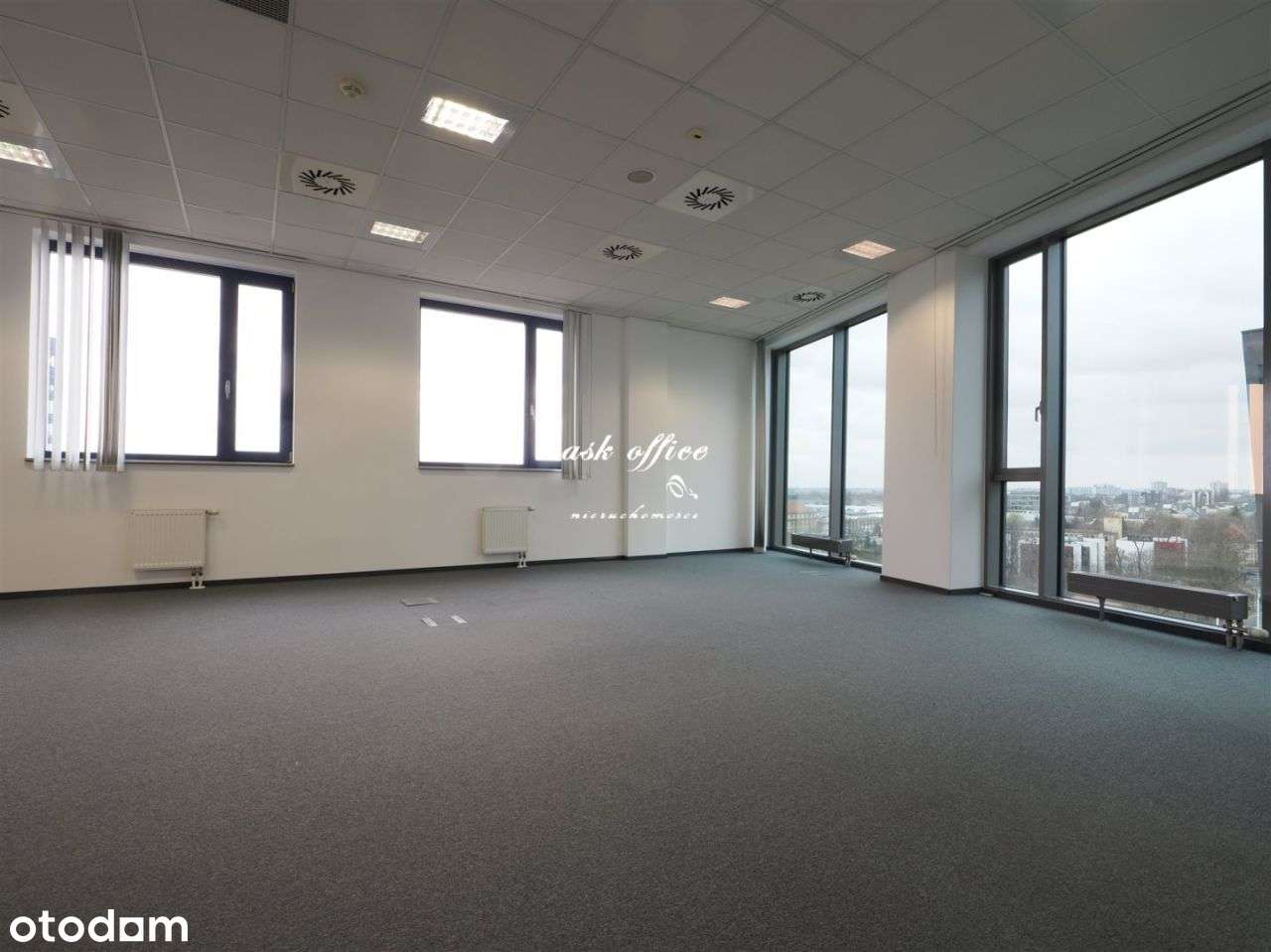 Lokal użytkowy, 305 m², Wrocław