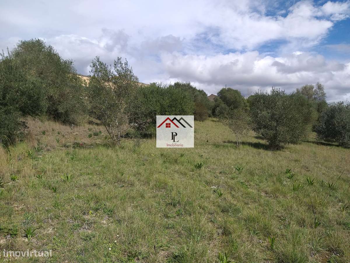 Terrenos para construção de Armazéns ou Unidade Fabril.-14