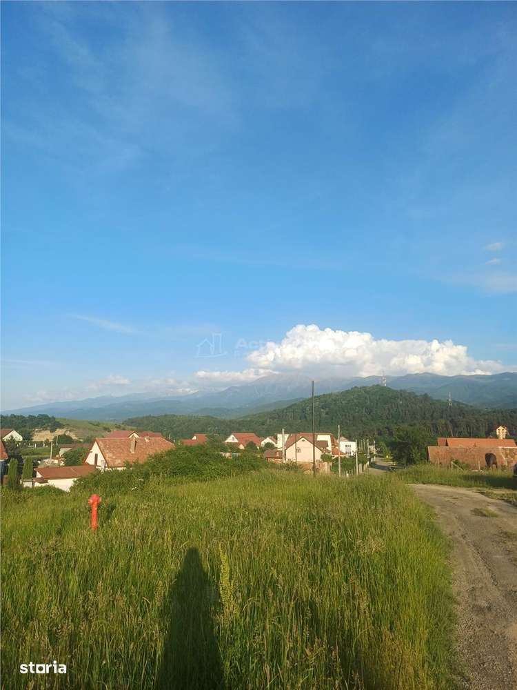 Teren intravilan de vanzare cu utilitati cartier Armeni Talmaciu - Imagine principală: 3/5