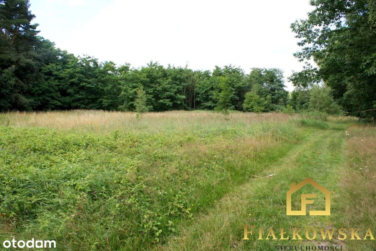 Działka usługowo - mieszkaniowa Mpzp Drzonków-5