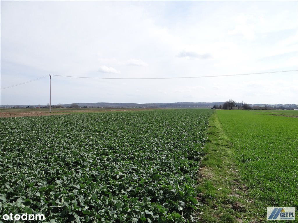 Działka budowlano-rolna 1,6 ha, 20 km od Krakowa