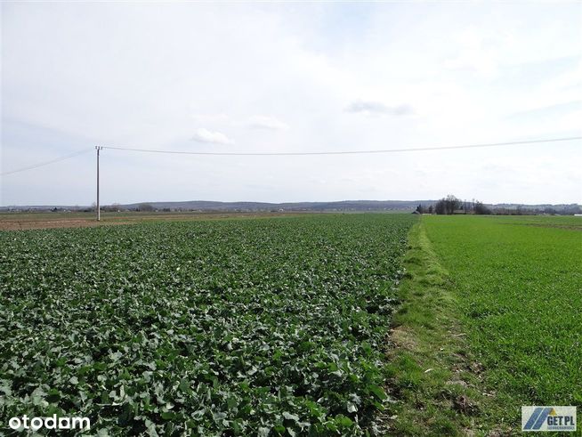 Działka budowlano-rolna 1,6 ha, 20 km od Krakowa
