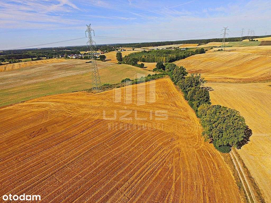Działka z wydanymi warunkami zabudowy - Pełny obrazek: 5/14