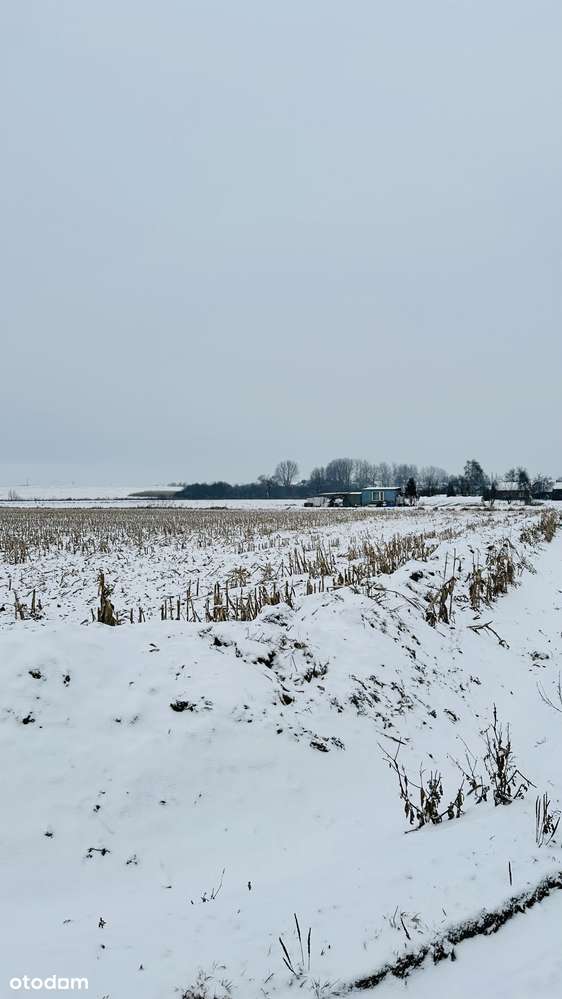 24 ary blisko Krakowa (12 ar budowlane)* Cicho* Dom, usługi, produkcja-3