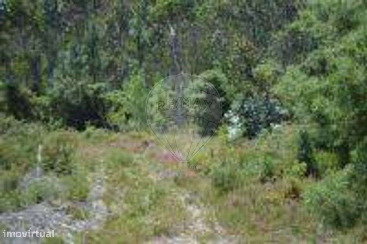 Terreno  para arrendamento - Grande imagem: 3/3