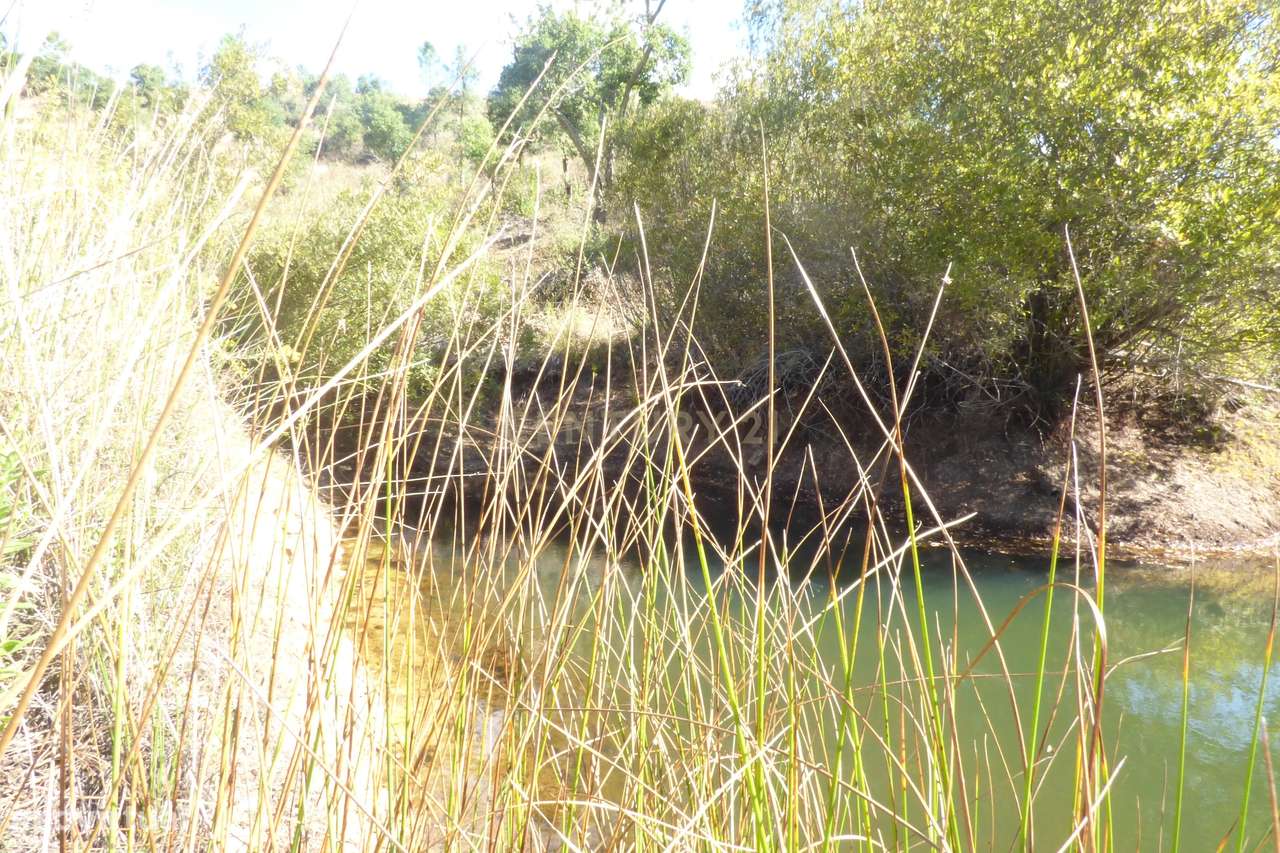 Herdade no Algarve, excelente  para turismo rural, ou Habitação. Tem 1 - Grande imagem: 5/36