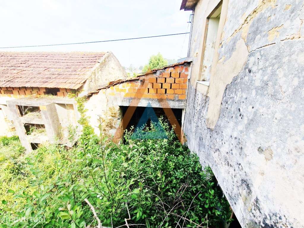 Maravilhosa quinta com casa e terreno-14