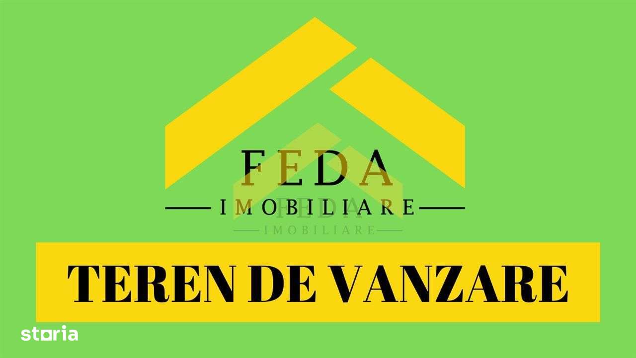 Teren intravilan de vanzare Frumuseni - Imagine principală: 3/3