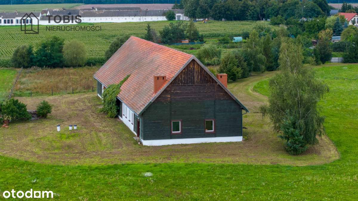 Stadnina z ogromnym potencjałem!-3