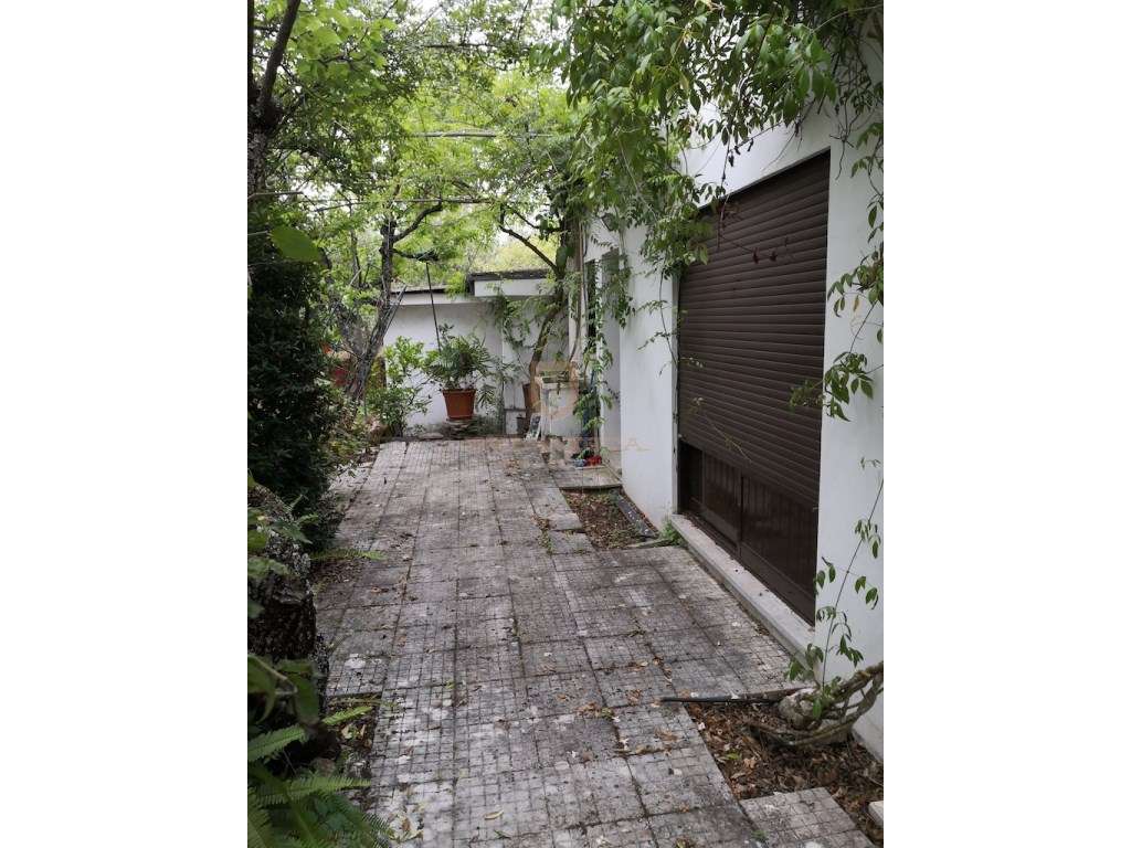 Oportunidade moradia charmosa T3 com lindo jardim - Ourém - Grande imagem: 5/21