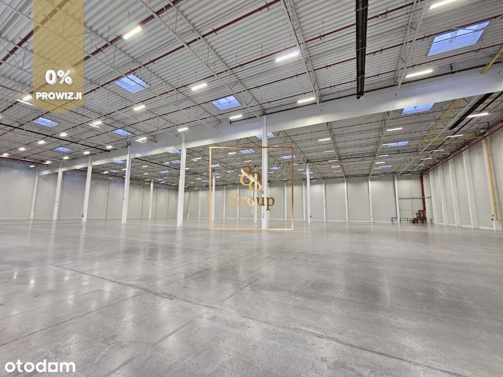 20 tysięcy m2 magazyn do 32 doków cross- Dock - Pełny obrazek: 4/5