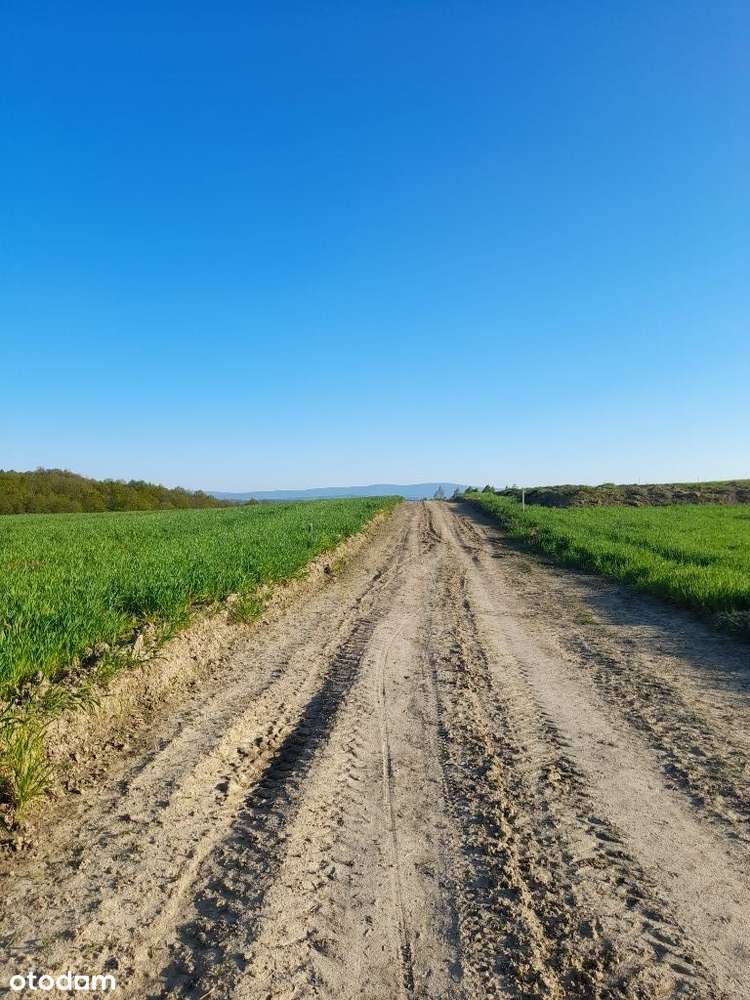 Działki Budowlane - Pełny obrazek: 5/18