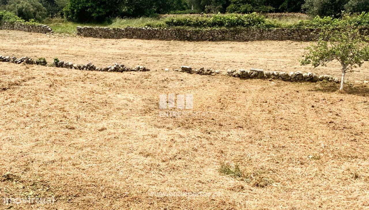 Venda de 2 Terrenos de cosntrução, Afife, Viana do Castelo - Grande imagem: 2/28