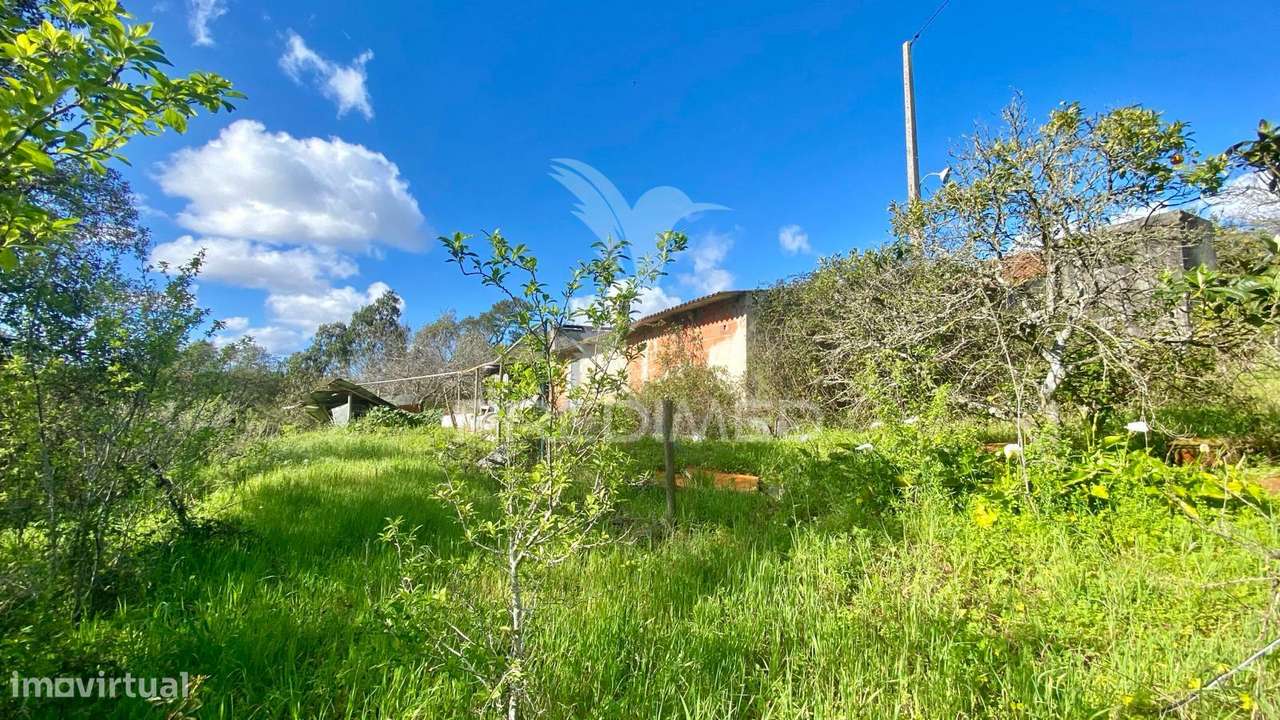 Casa antiga em Rio Maior - Grande imagem: 4/8