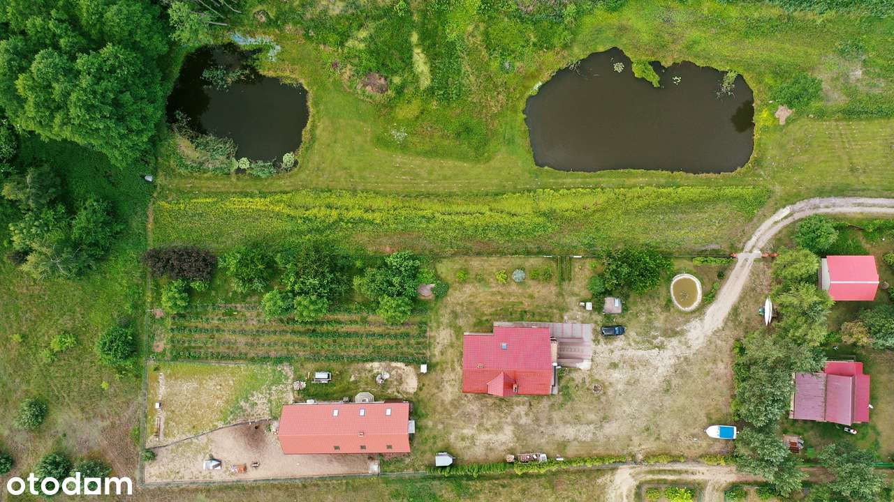 Jezioro Gopło – Klimatyczna Posiadłość-5